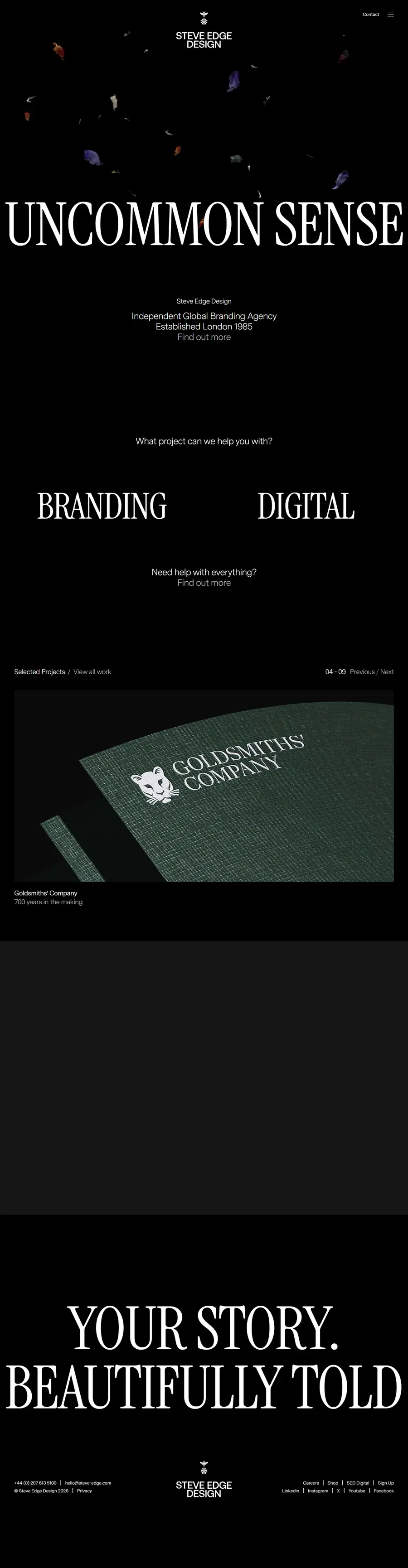steve-edge.com full-page screenshot